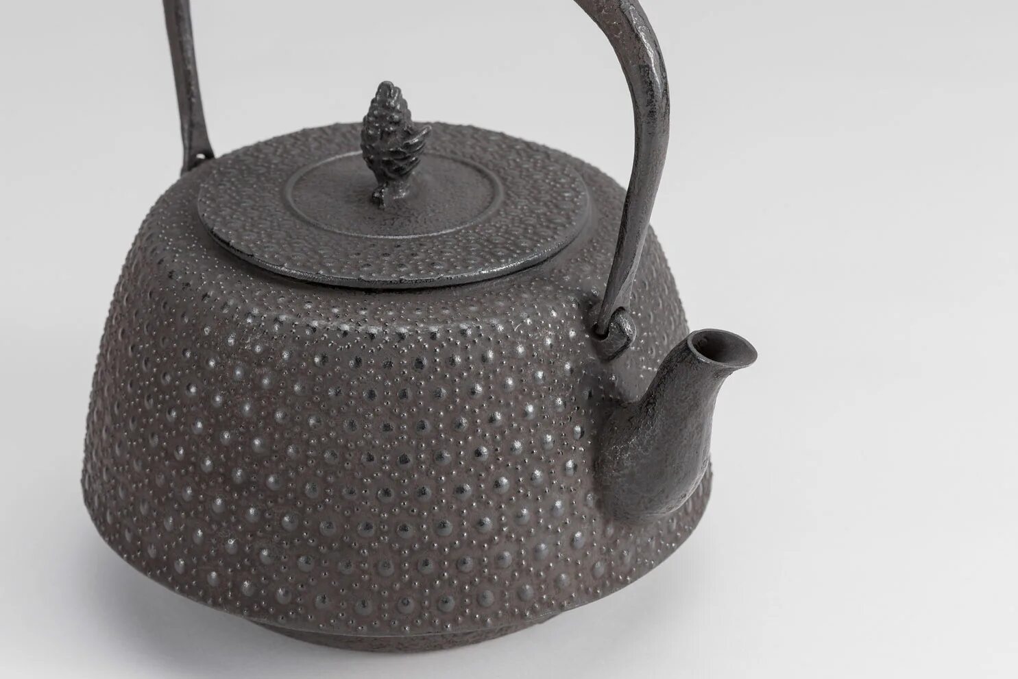 Чайник чугунный Iwachu. Ferro SHOUXI чугунный чайник. Чугунный чайник Dutch Oven ft4.5 Petrom. Чугунный чайник 2 литра.
