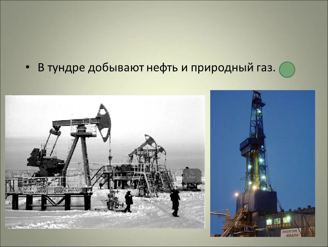 Проектная нефть и газ. Добыча нефти и газа в тундре. Нефть в тундре добывают. Добыча нефти в России 4 класс. Добыча газа в тундре.