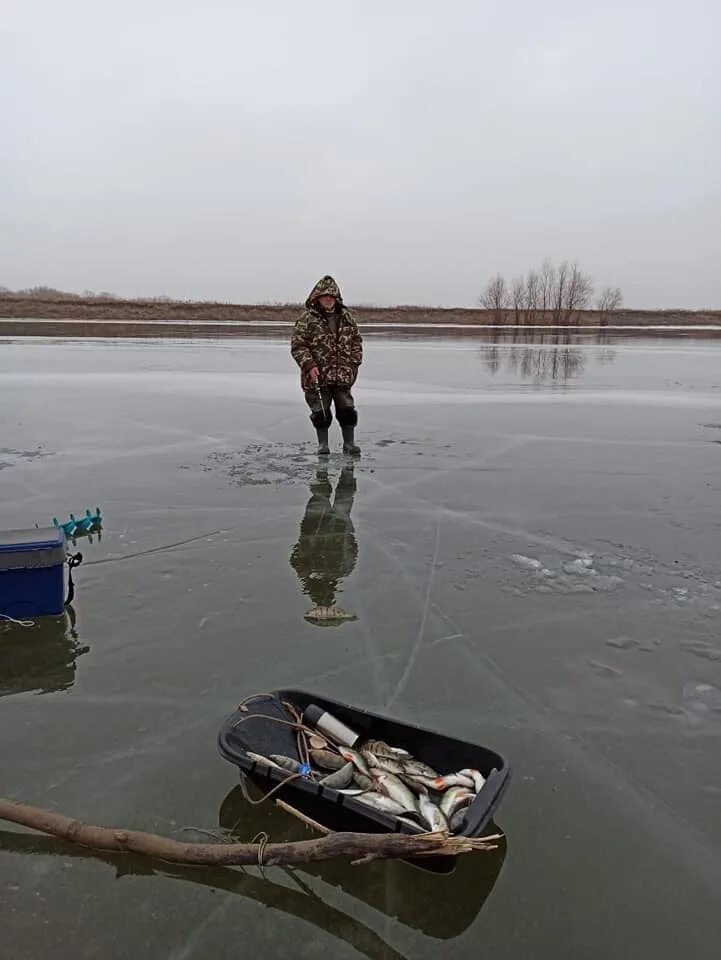 Уровень воды на нижней волге 2024 русфишинг