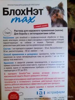 Как часто обрабатывать от блох