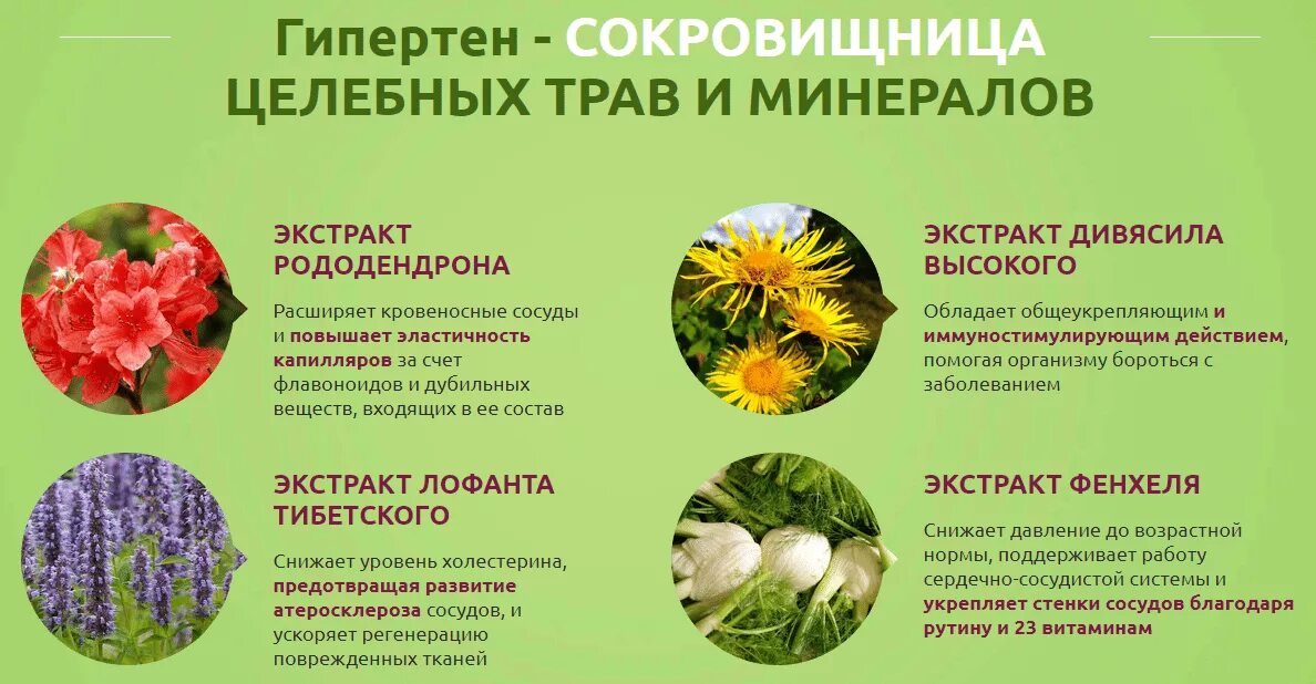 Растительный препарат для нормализации давления. Стабилен таблетки. Лекарство для чистки сосудов. Эликсир гипертен. Гипертен 120/80 эликсир.