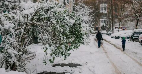В смоленске на 14 дней