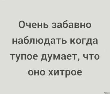 Тупое думает что оно хитрое