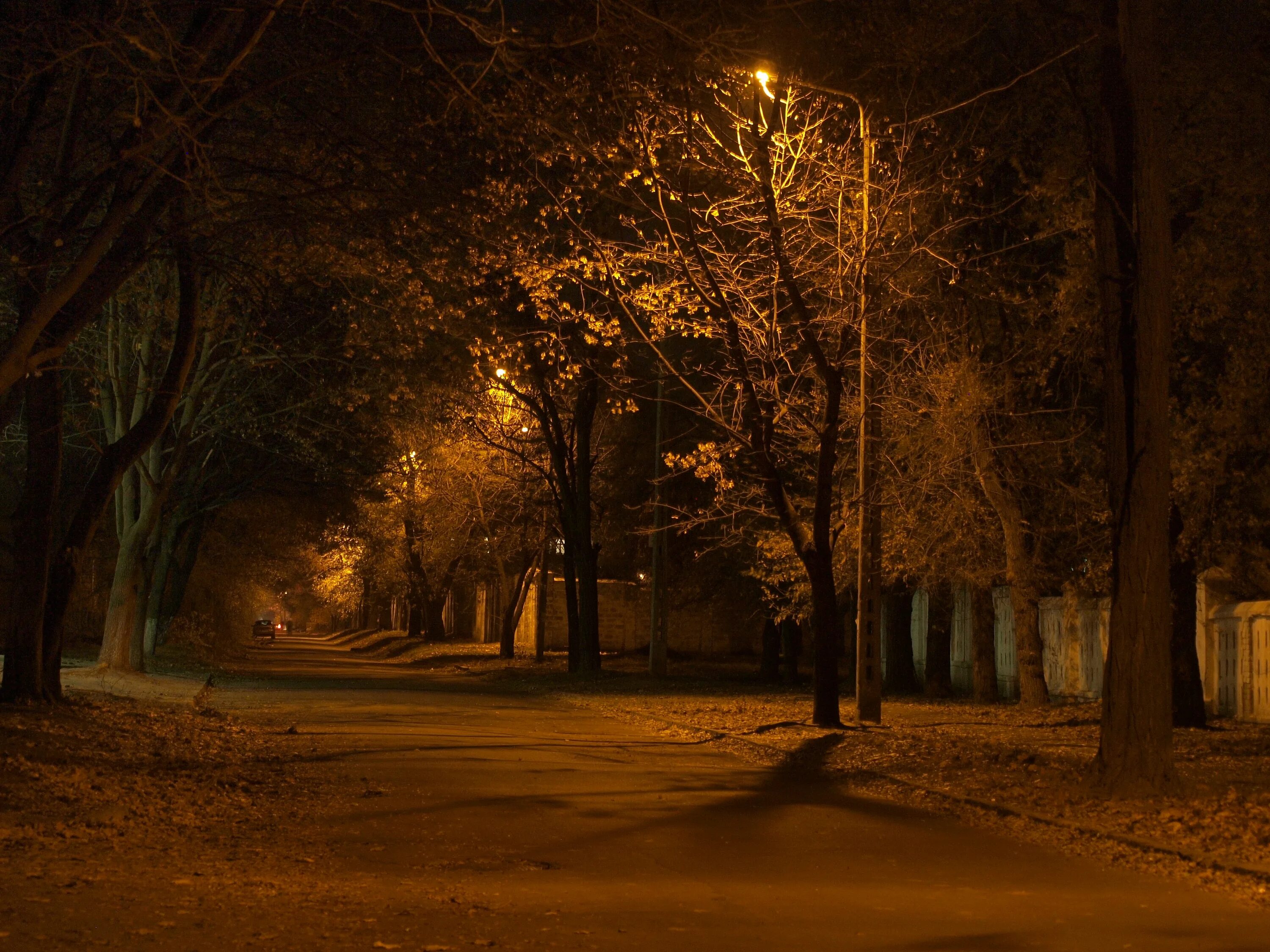 Ночной осенний город. Осень в городе. Вечерняя улица. Улица ночью. Улица ночью весной