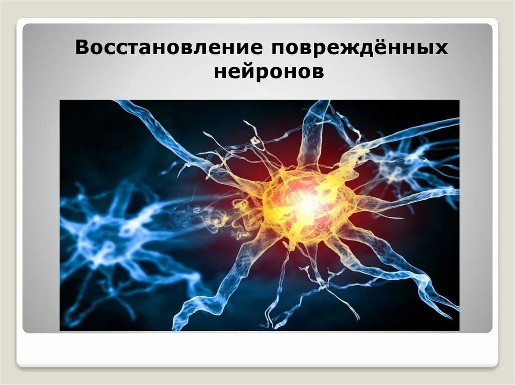 Восстановление нейронных. Восстановление нервных клеток. повреждение нейрона. повреждение нервной клетки. нервные клетки восстанавливаются.