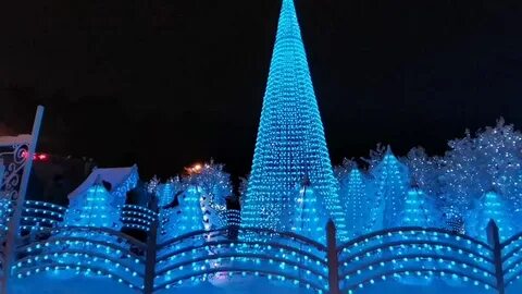 Новый год в сокольниках 2024