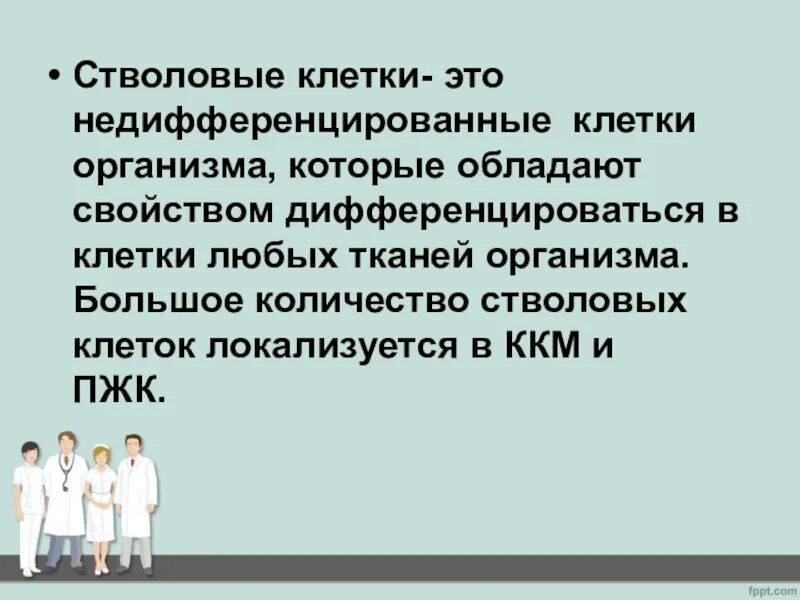 Б содержит недифференцированные клетки. Недифференцированные клетки. Не диффиренцированные клетки. Дифференцированные и Недифференцированные клетки. Как называются Недифференцированные клетки.