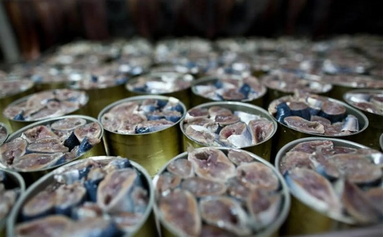 Домашние консервы из рыбы. Консерва из речной рыбы в автоклаве. Мясные и рыбные консервы. Рыбные консервы. Рыба консервированная в масле.