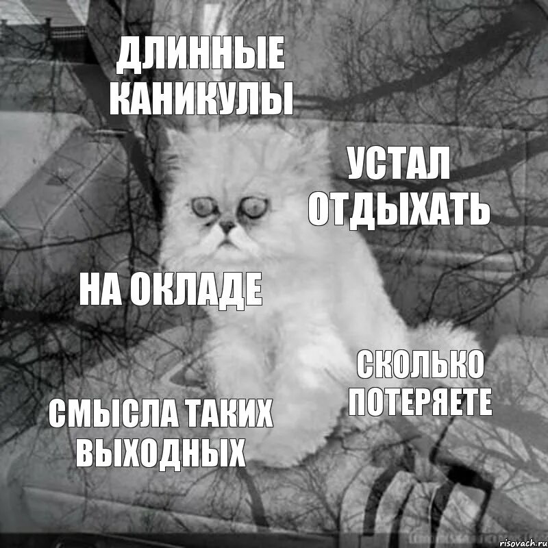 Нечего бывает