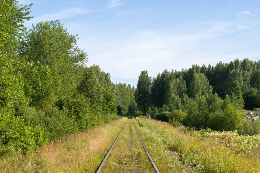 Дрегли новгородская область. Окуловка Неболчи. Паровоз Окуловка Неболчи. Деревня Неболчи Новгородская область. Дорога Неболчи Бокситогорск.