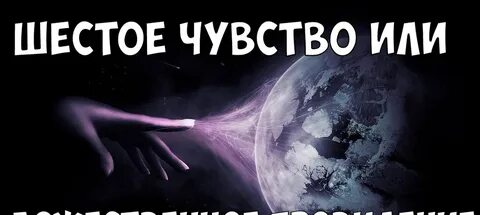 Разум 6
