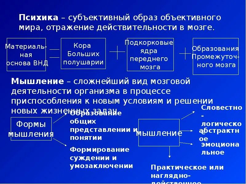 Субъективный образ. Субъективное отражение реальности