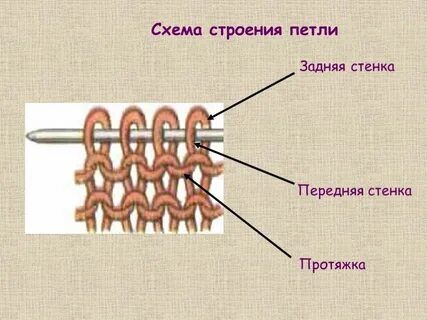 Лицевая стенка