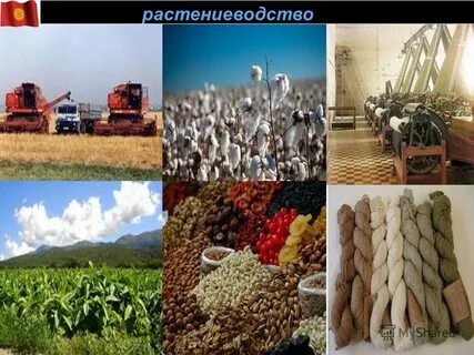 Экономика киргизии