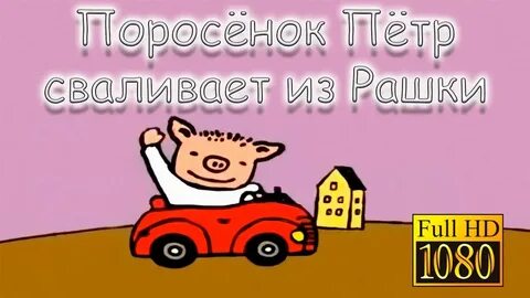 Peter pig