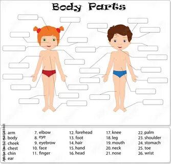 Girl parts