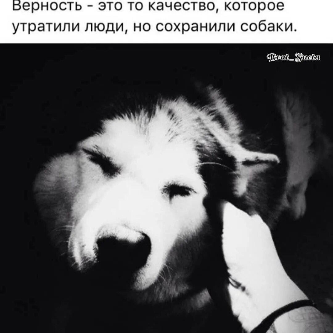 Хотя и сохраняется но в