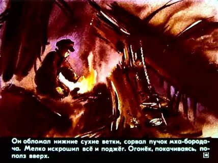 Как васютка отвлек внимание глухаря