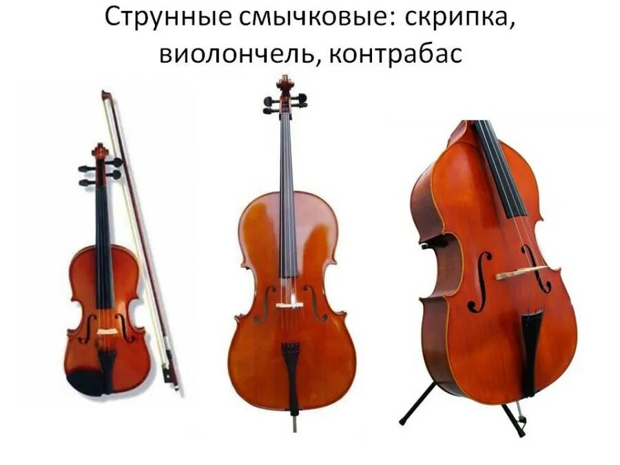 струнные инструменты скрипка альт контрабас. струнные смычковые инструменты альт. альт струнные смычковые музыкальные инструменты альтисты. струнно смычковый инструмент альт. струнные смычковые инструменты скрипка альт виолончель контрабас.