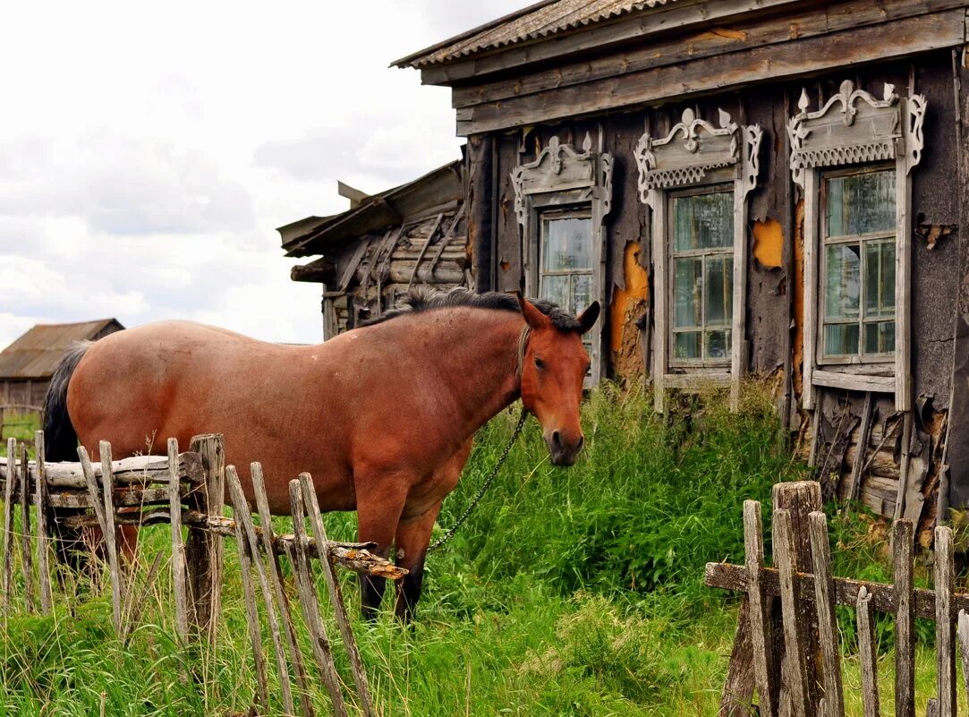 Жизнь сельской деревни