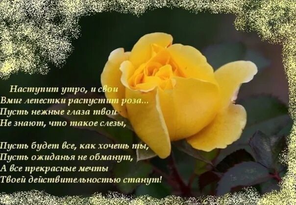 Стихи ласкового утра. Стихи о желтой Розе. Красивые утренние пожелания женщине в стихах. Стихи про розы и женщин короткие и красивые. Цветы любимой со стихами.