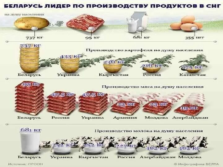 Где больше всего производят. Беларусь Лидер по производству продуктов. Пищевая промышленность схема. Беларусь производят продукты. Лидеры по производству продуктов питания.