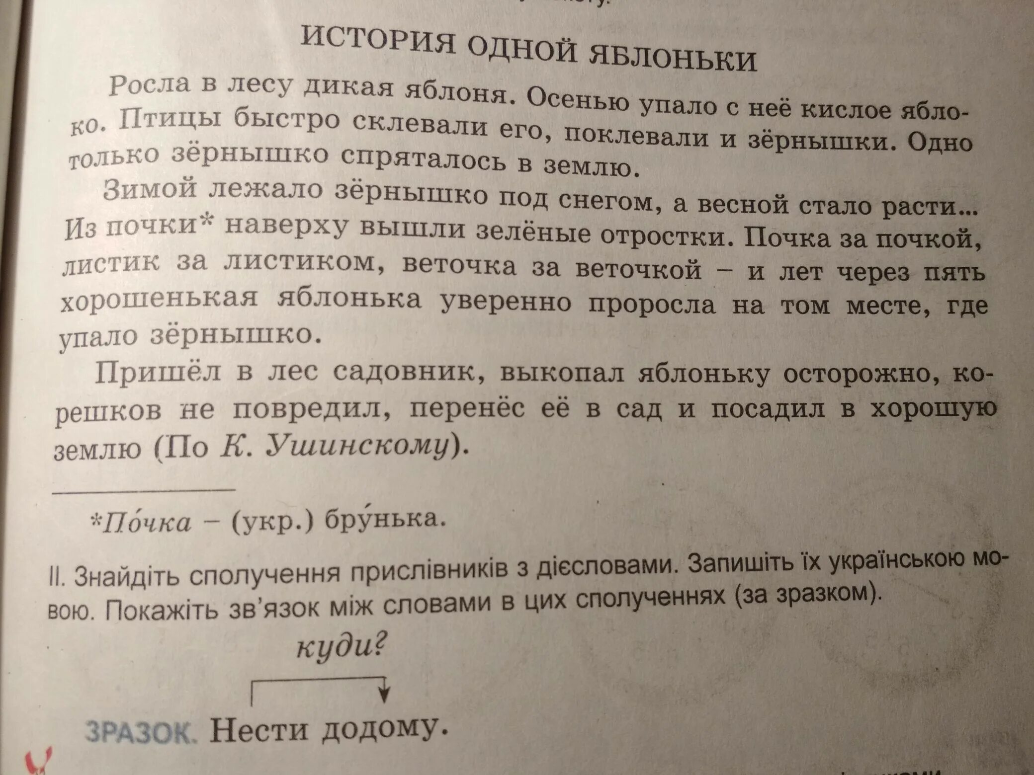 Яблоньки разбор. Росла в лесу Дикая яблоня. Комплексная работа история одной яблоньки. Вариант 1 история одной яблоньки. История одной яблоньки вопросы.