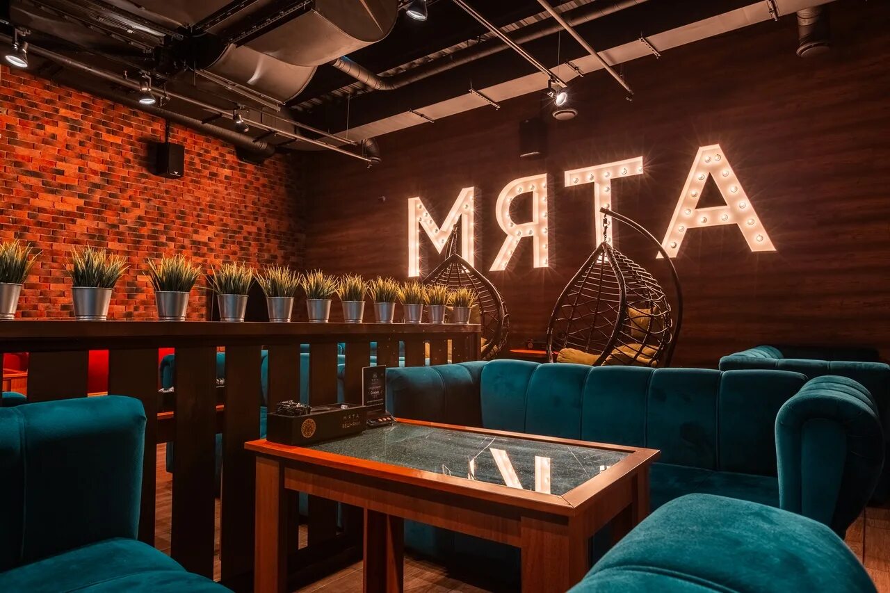 Мята ташкент пряная. Мята колосистая. Мята ташкентская. Мята ташкентская. Мята колосковая(mentha spicata l.