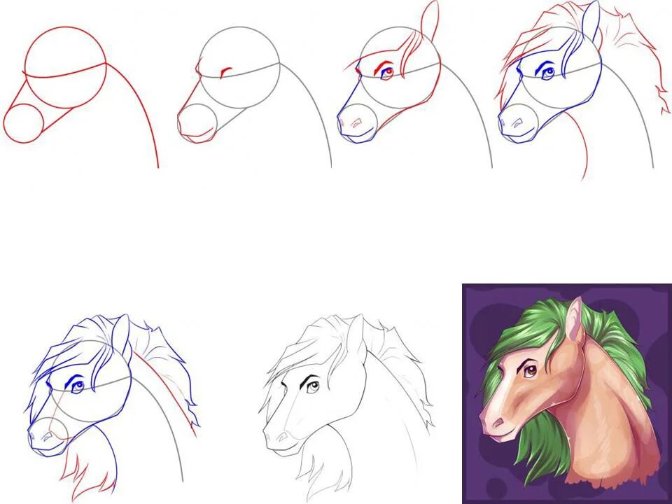 Уроки рисования карандашом с нуля для начинающих. Поэтапный рисунок лошади. Лошадь рисунок пошагово. Лошадь рисунок карандашом поэтапно. Как рисовать голову лошади.
