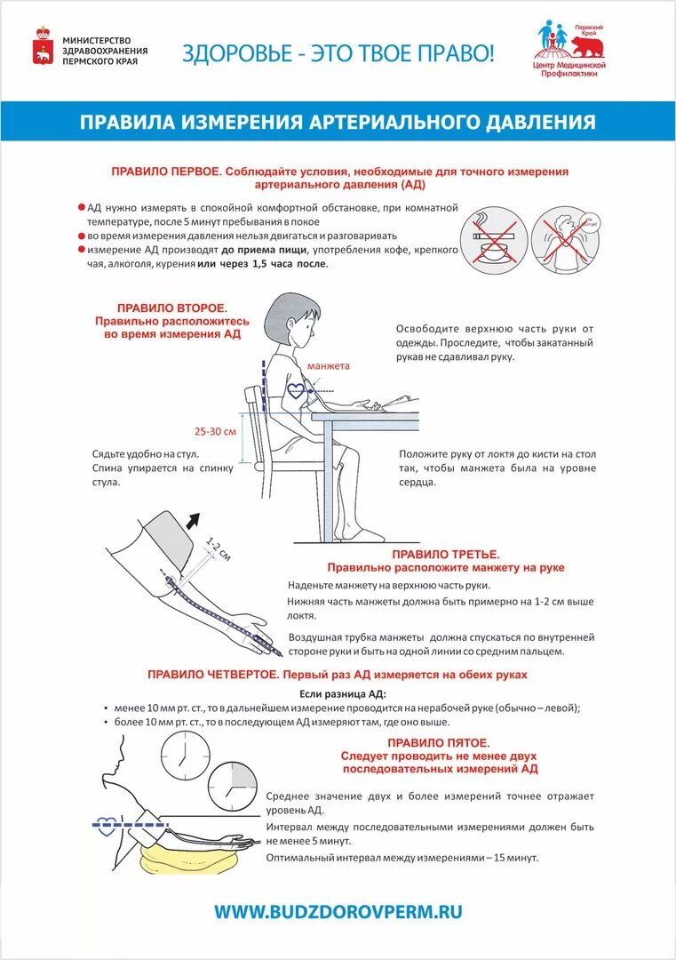 Инфографика ЗОЖ Средняя общеобразовательная школа № 29 имени Игоря Рысьева