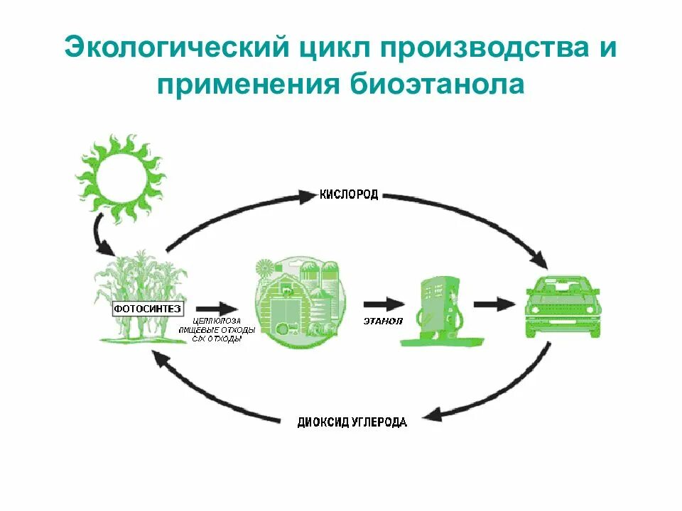 Экологичность всего жизненного цикла