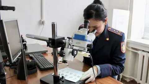 Дикті соратын әуесқой