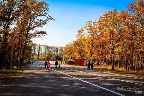 Новая усмань воронежская область парк