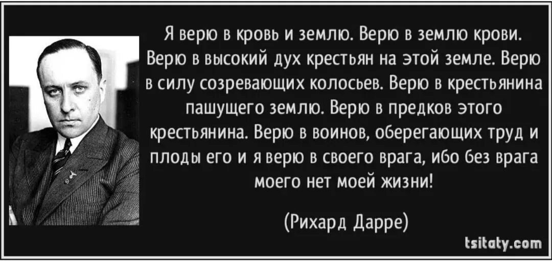 Колоски на закате. Колосья пшеницы. Пшеница фон. Сила в колосьях пшеницы. Пшеница пейзаж.