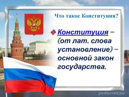 Конституция общество 7 класс