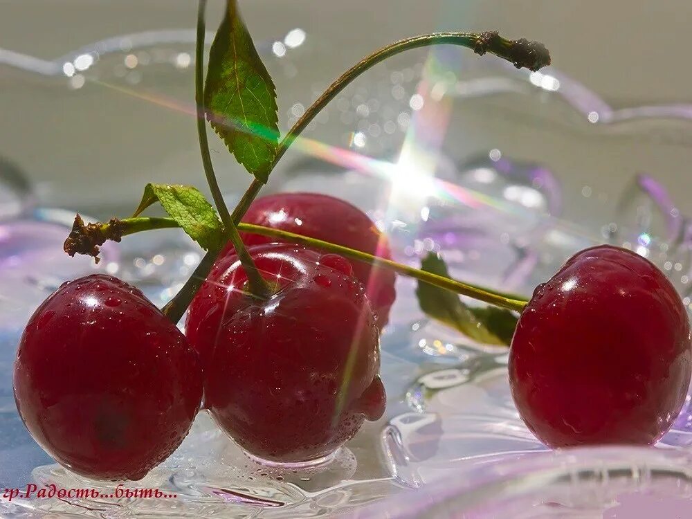Ягоды в стекле. Стеклянные ягоды. Вишня. Вишня (ягода). Красивая вишня.