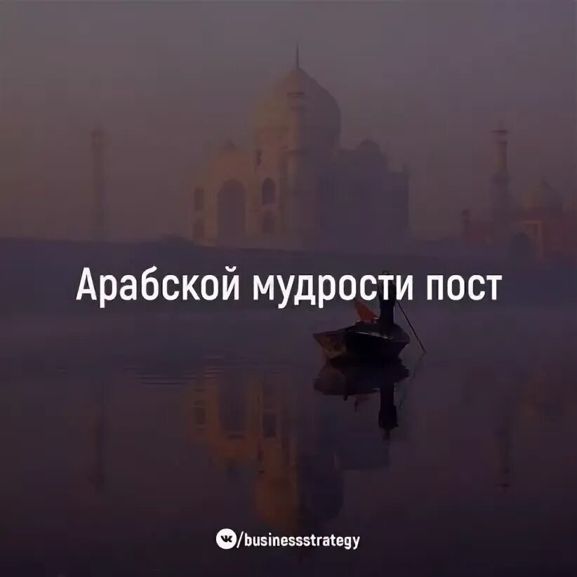 Цитаты про арабских