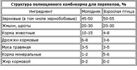 Кормлю перепелов комбикормом