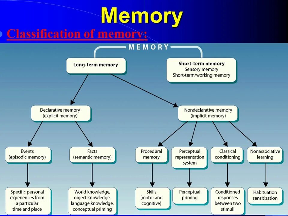 Cgroup memory. Declarative memory. procedure memory. classification of memory. long term memory.
