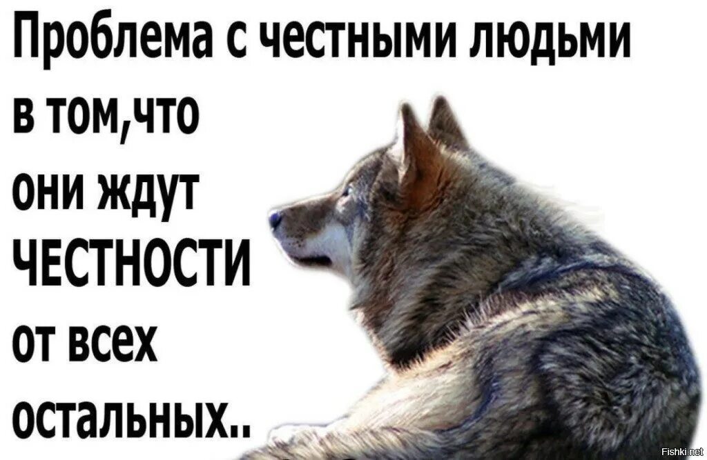 Насколько честно. Цитаты о порядочности человека. Порядочный человек цитаты. Статусы про честность и порядочность. Дешевые люди цитаты.