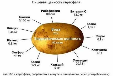 Сколько картошки в уху