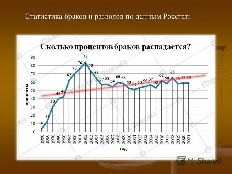 Разводы в россии 2024