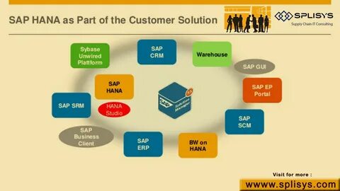 Sap pdf