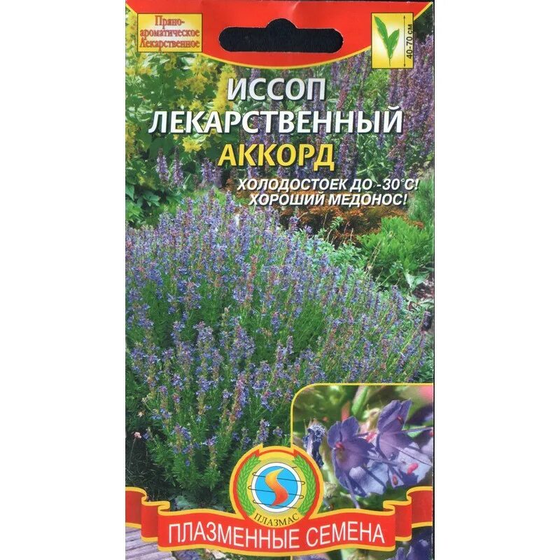 Иссоп семена купить. Иссоп дачный лекарь, смесь. Семена иссоп лекарственный. Иссоп "Знахарь".