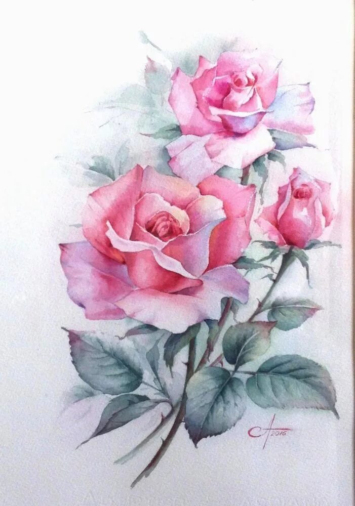 Акварельные розы. Рисование розы акварелью. Розы рисунок акварелью. Нарисовать розу акварелью.