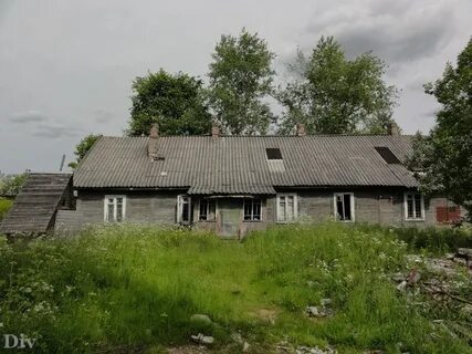 Мшинская сегодня