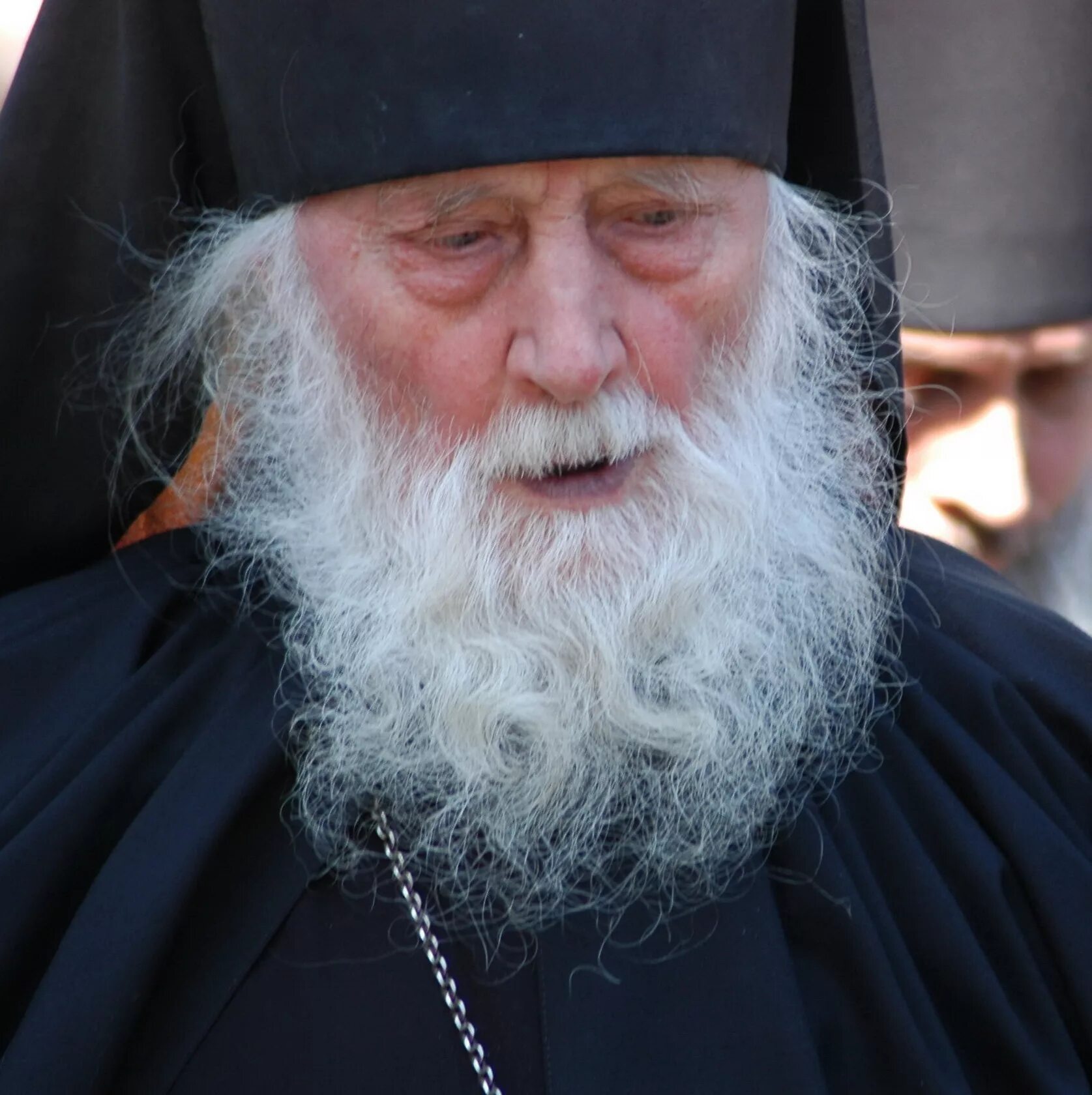 наместник новоспасского монастыря алексий. иеродиакон илиодор гариянц. архимандрит порфирий шутов наместник соловецкого монастыря. епископ алексий поликарпов. отец венедикт оптина пустынь.