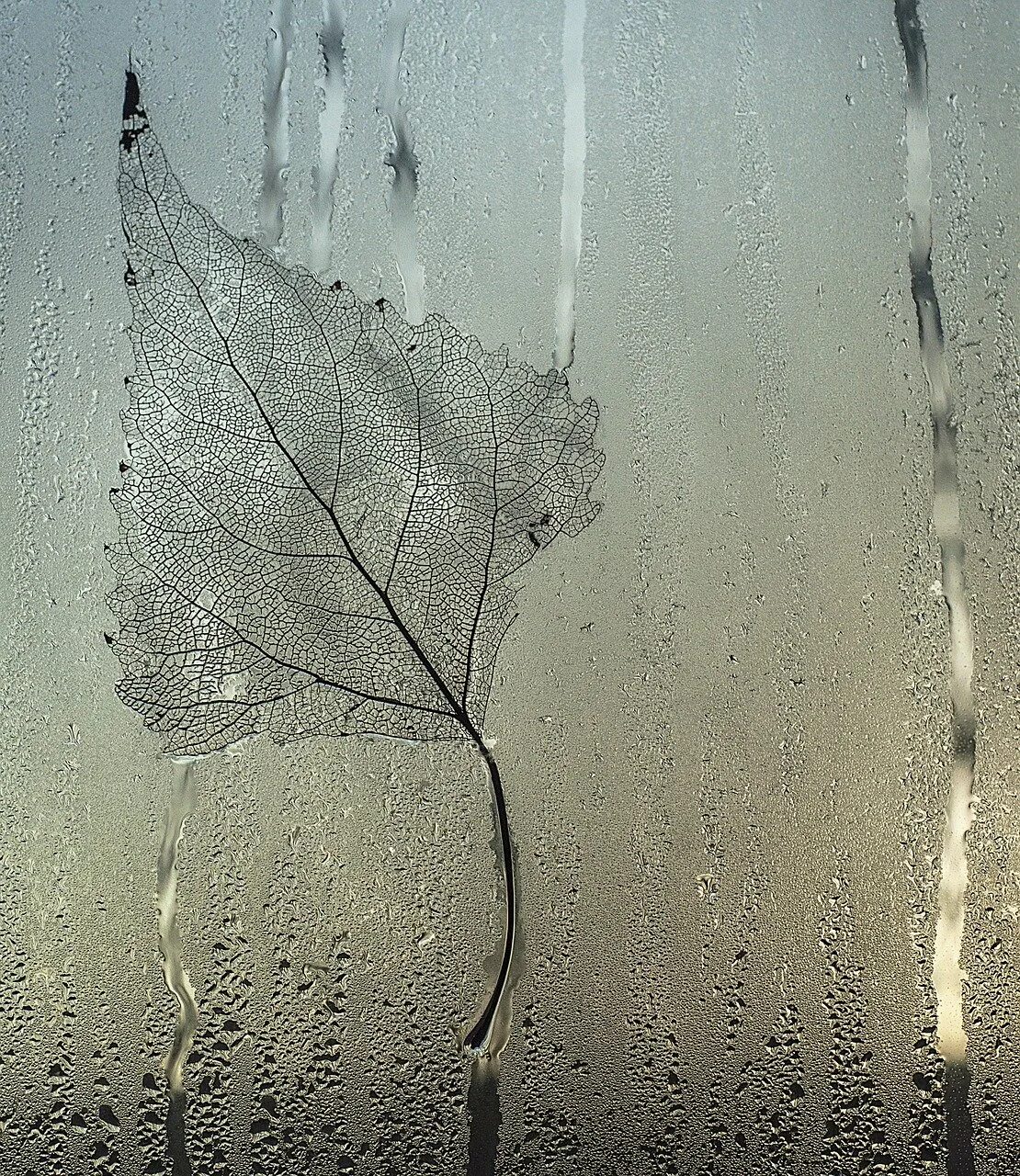 Капель после дождя. Капли на стекле. Капли на окне. Стекло окно. Стекло с каплями дождя.
