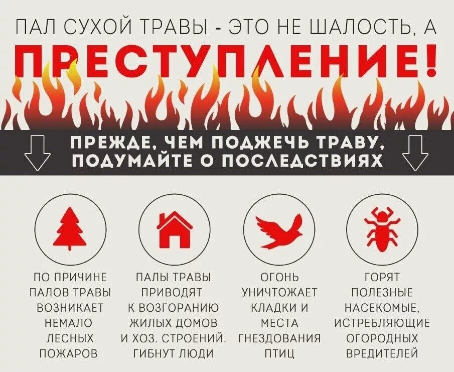 Выйди трави
