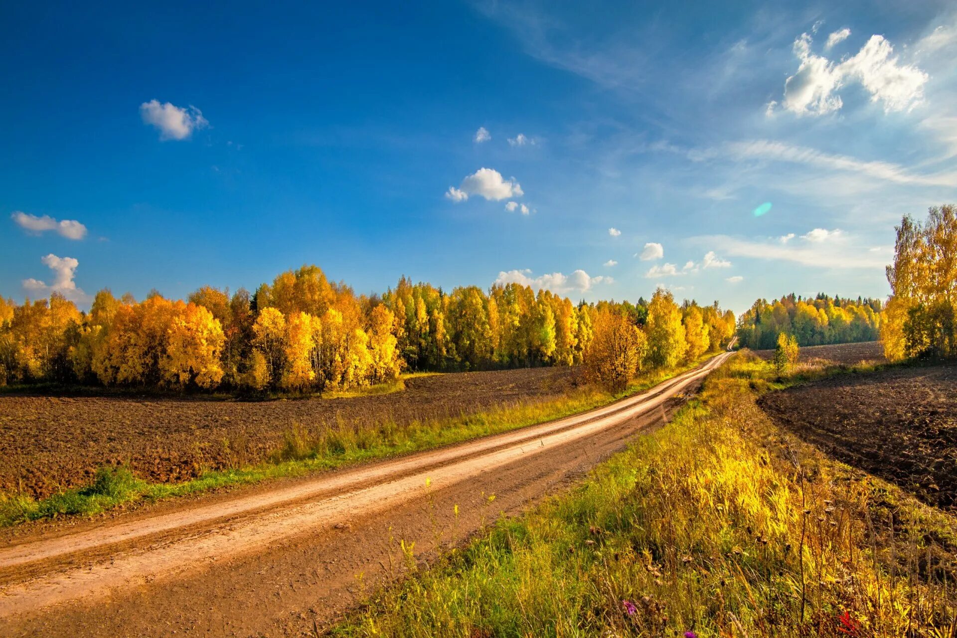 Осенняя дорога. Пейзаж с дорогой. Дорога в осень. Осенняя дорога в лесу.